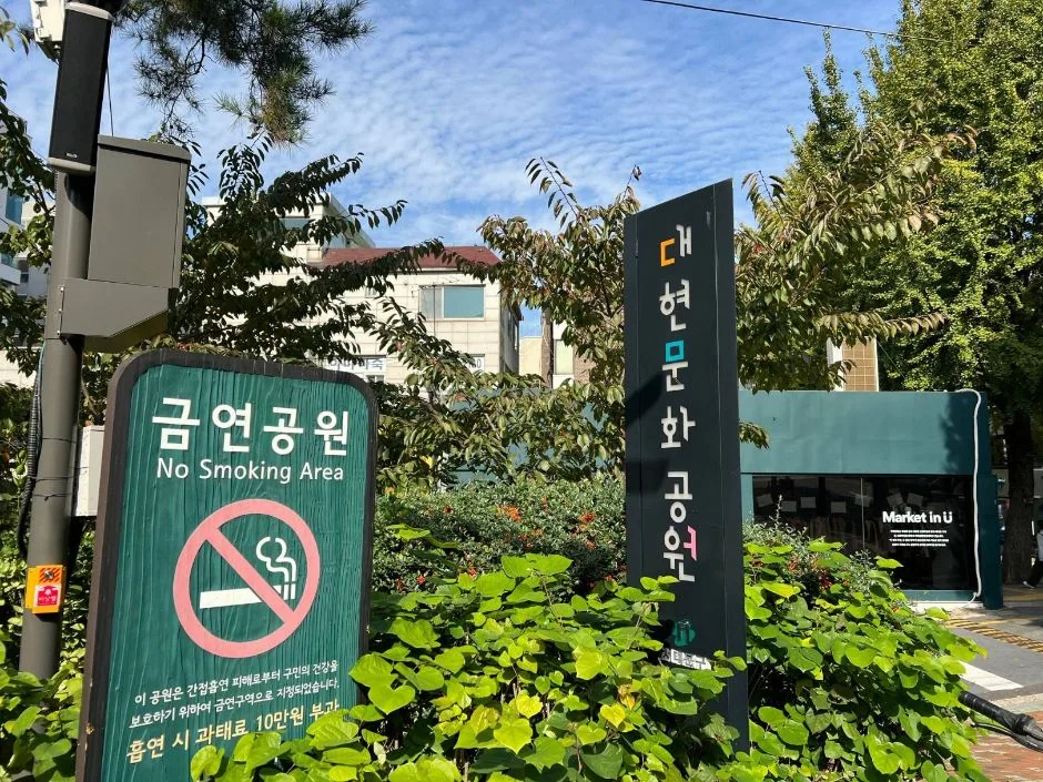 대현문화공원_단차가 없는 공원 입구