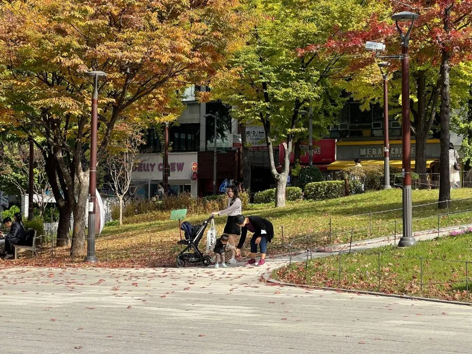 대현문화공원_공원 들어가는 입구 경사로(3)