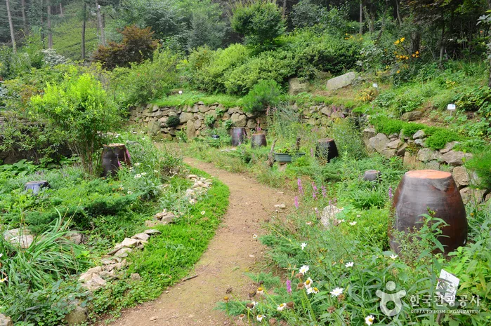 장흥자생수목원