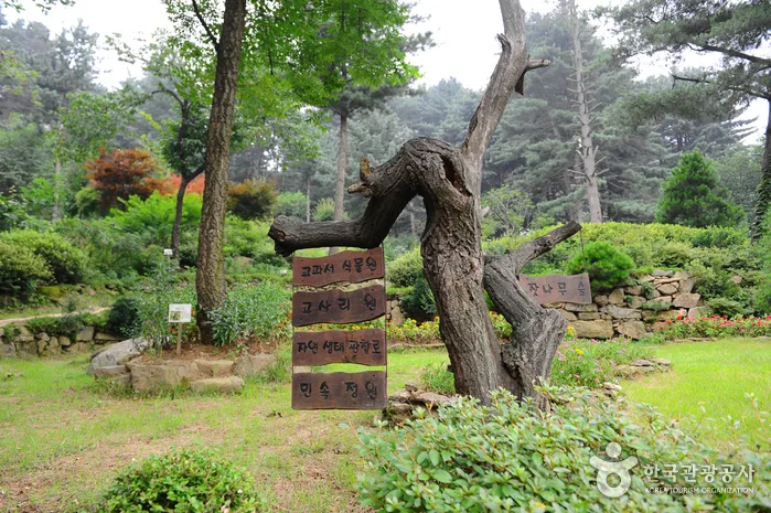 장흥자생수목원