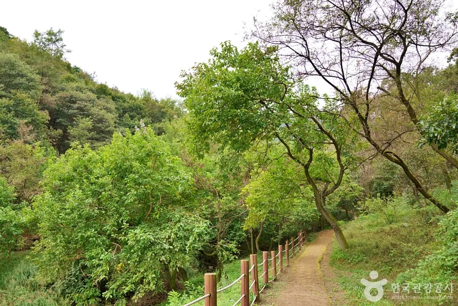 충북_진천_생거진천치유의숲(7)