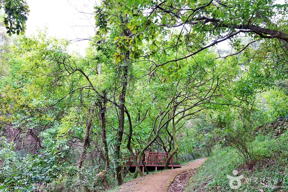 충북_진천_생거진천치유의숲(8)