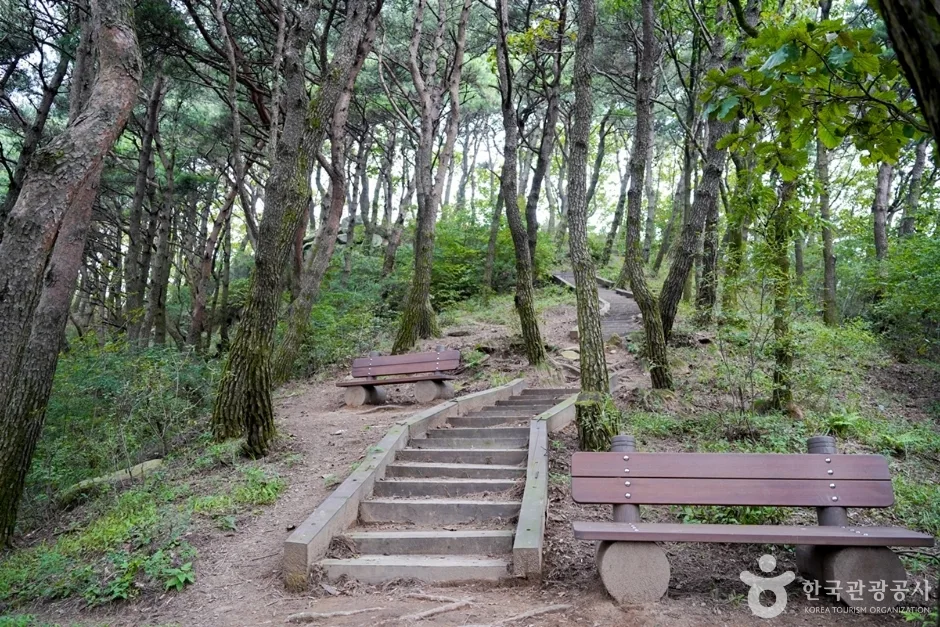 경북_칠곡_한티재 (3)