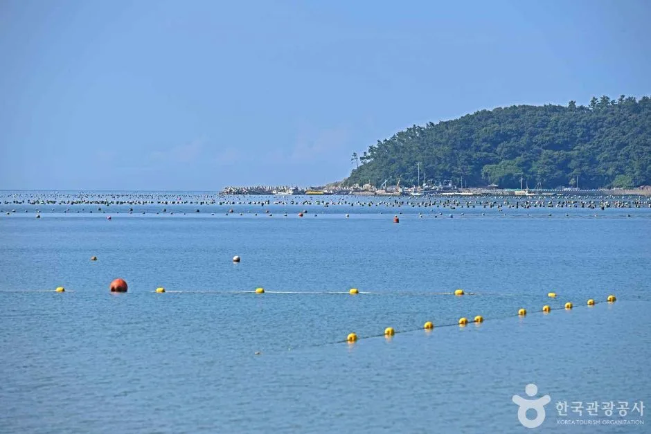 금갑해변 (6)