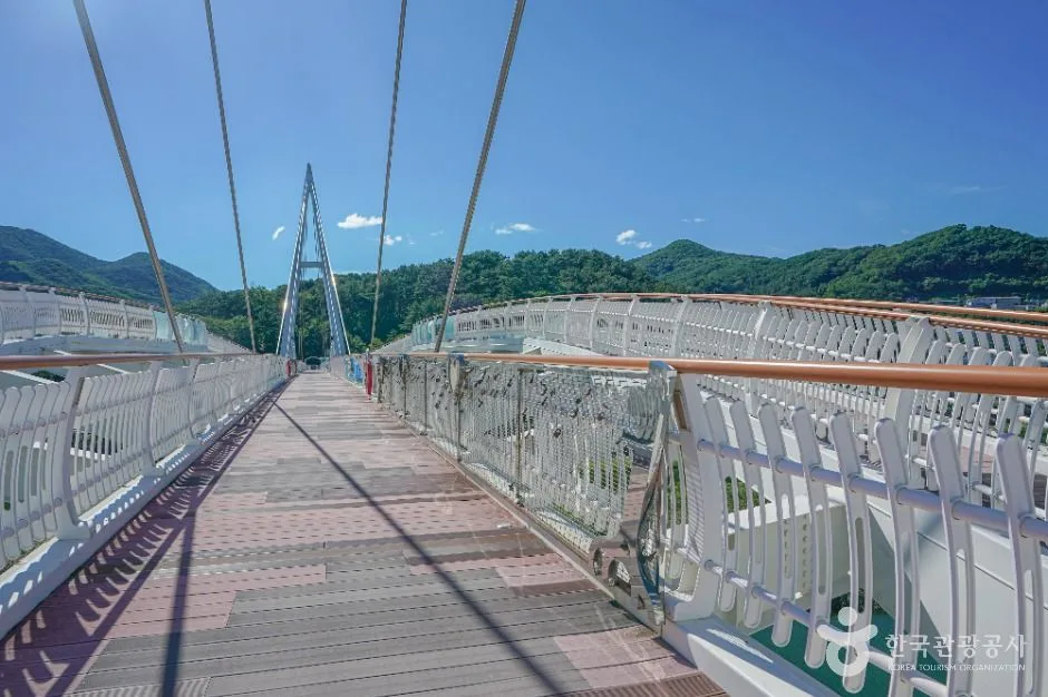 양산_양산천 구름다리 (4)