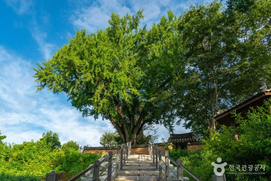합천_호연정 (3)