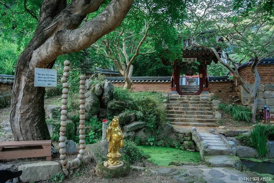 보성 가볼만한곳 보성 여름방학 가족 여행_천봉산 대원사_4-3