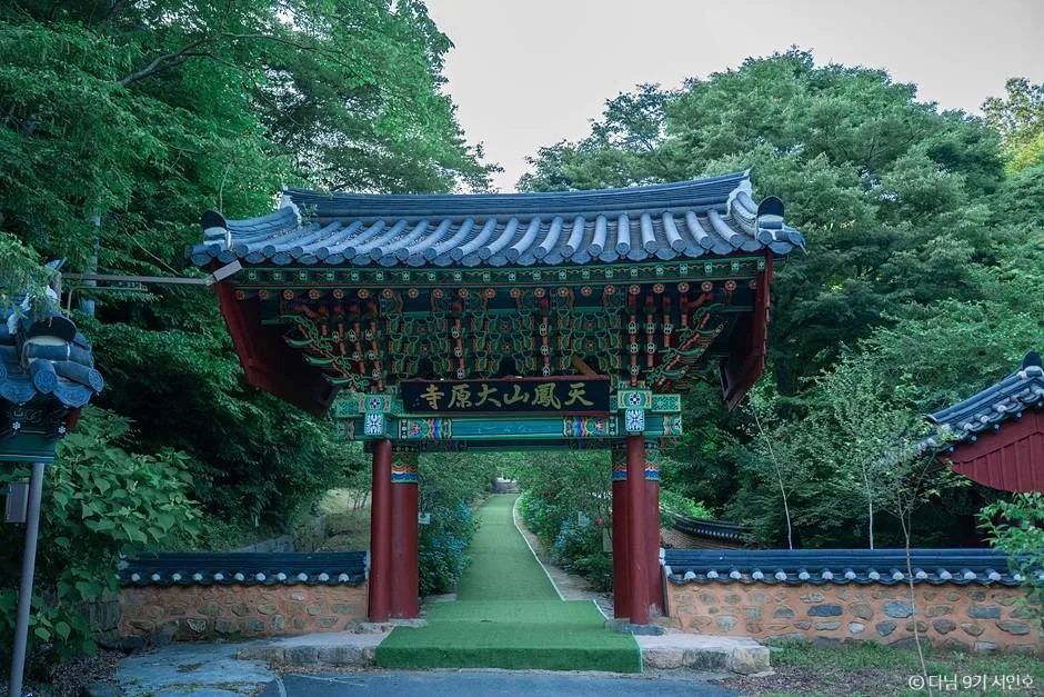 보성 가볼만한곳 보성 여름방학 가족 여행_천봉산 대원사_4-2
