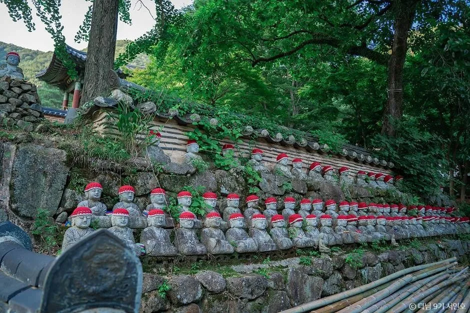 보성 가볼만한곳 보성 여름방학 가족 여행_천봉산 대원사_4-7