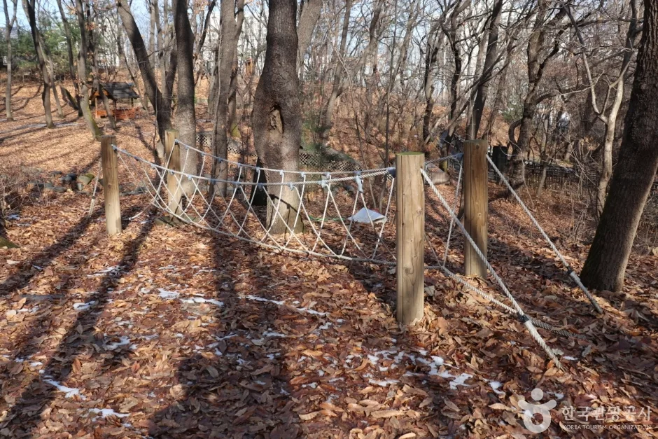 오동근린공원 유아숲체험장 (10)