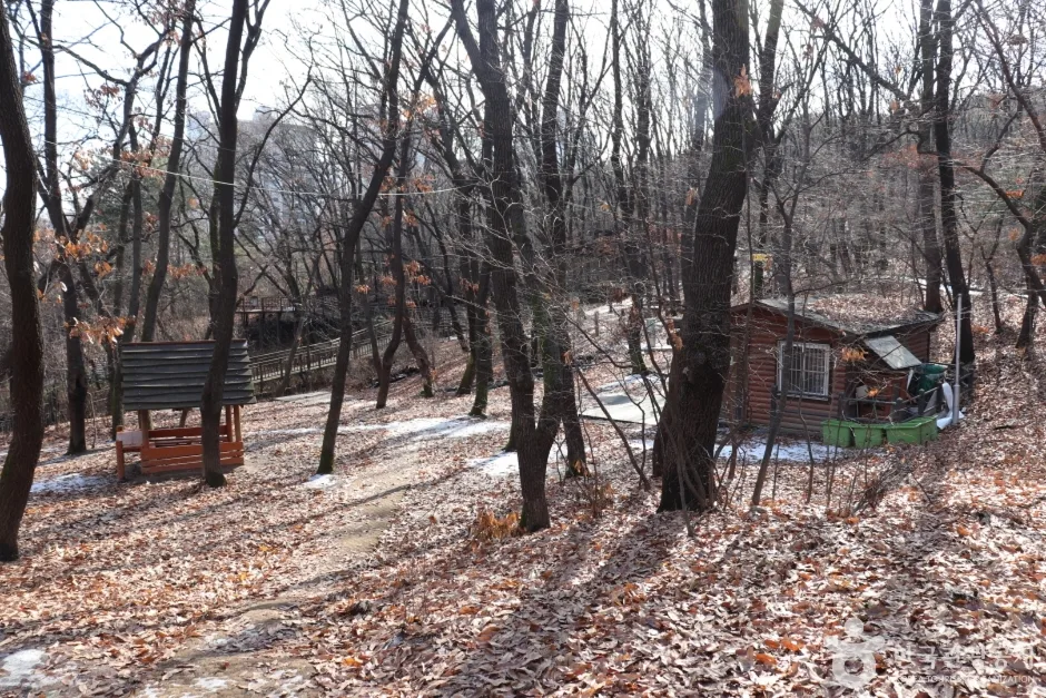 오동근린공원 유아숲체험장 (7)