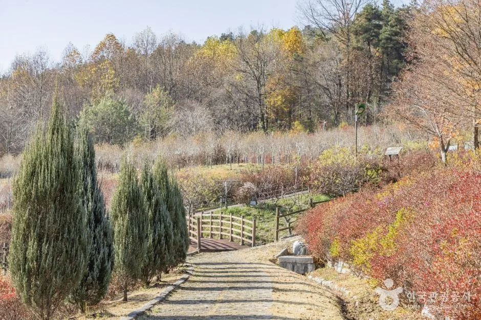 진안_고원화목원 (10)