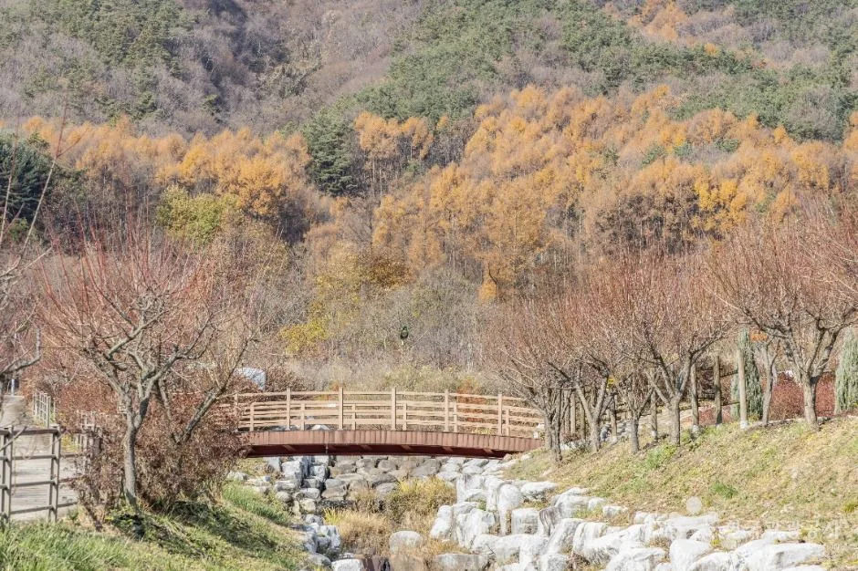 진안_고원화목원 (9)