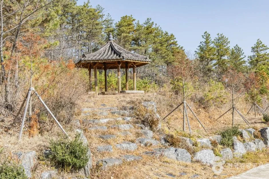 진안_고원화목원 (1)