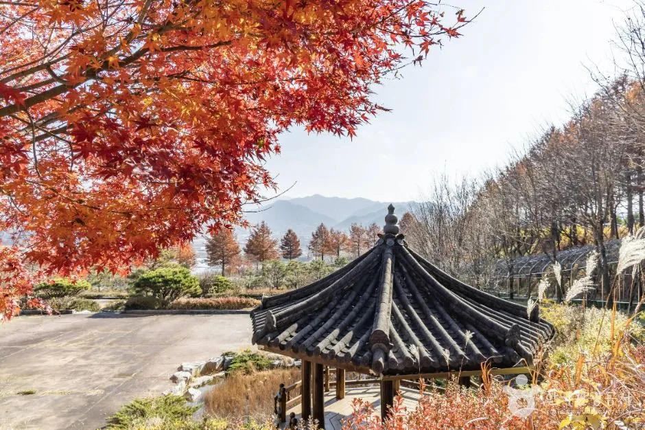 진안_고원화목원 (2)