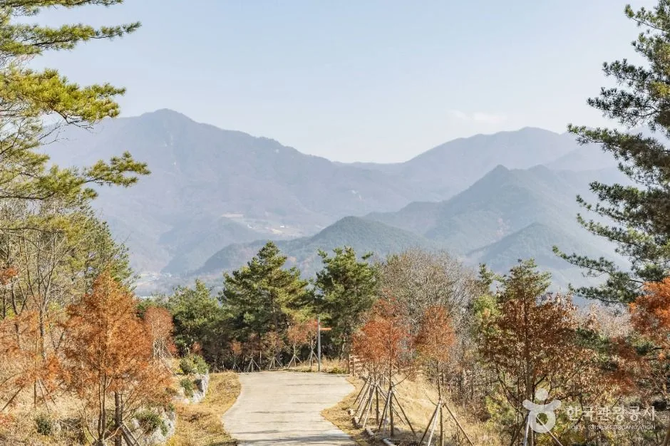 진안_고원화목원 (12)