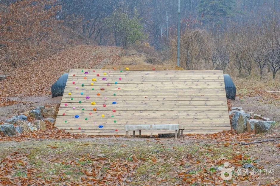 파주_헤이리농원 (7)