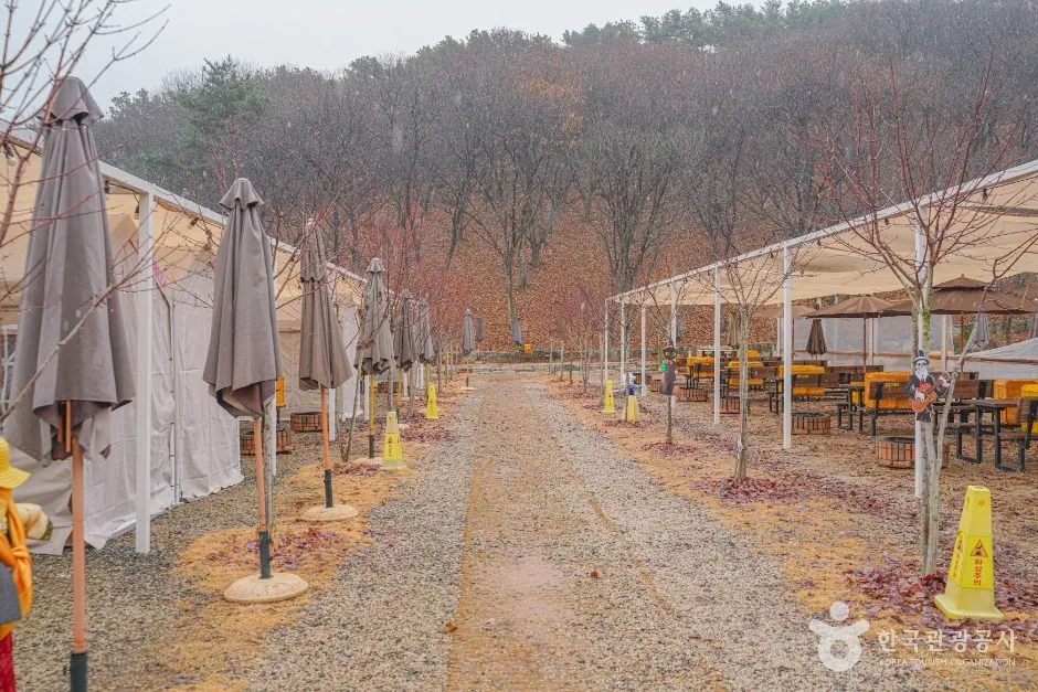 파주_헤이리농원 (3)