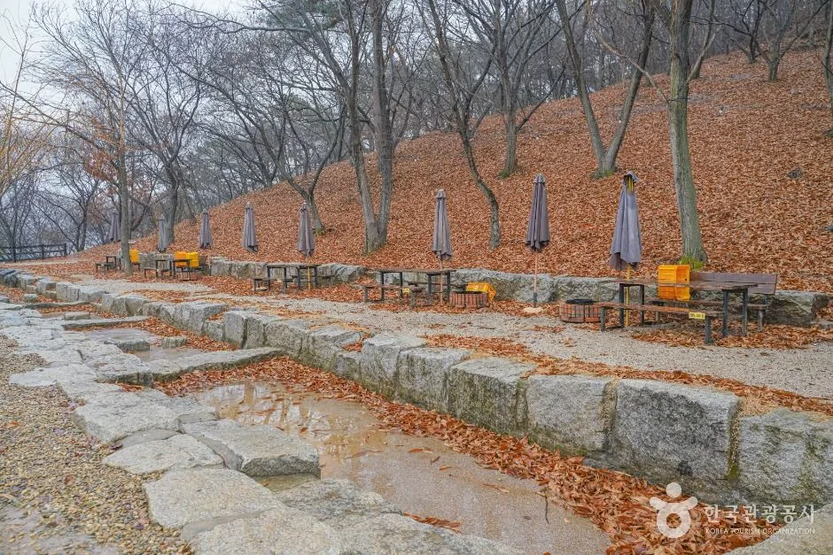 파주_헤이리농원 (9)