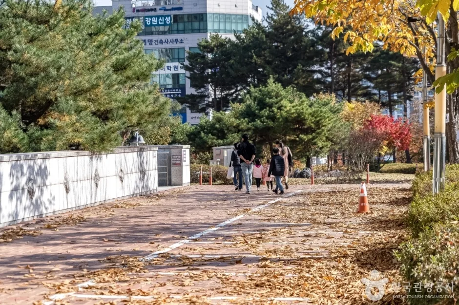 원주 백운아트홀 (12)