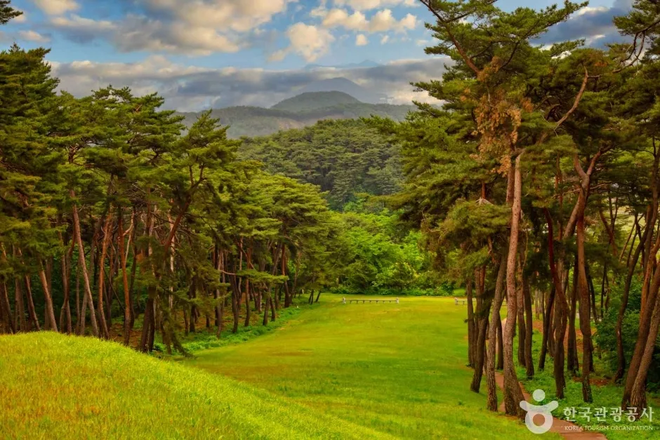 장절공신숭겸장군묘역 (7)