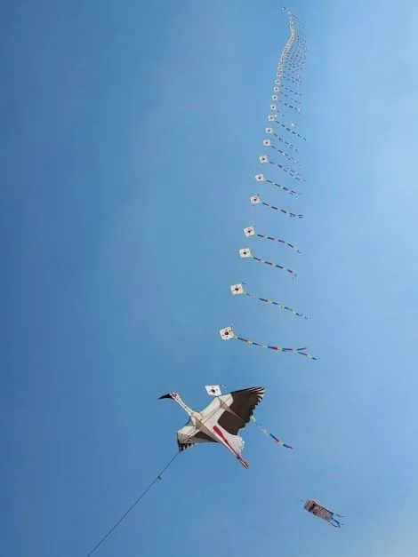 예산_예산 황새공원 (7)