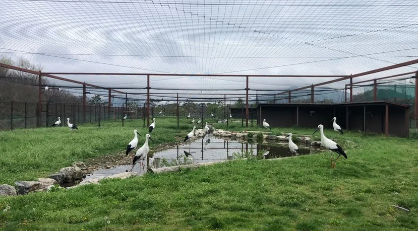 예산_예산 황새공원 (1)