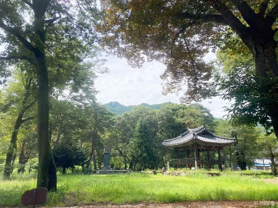 거창_갈계숲 (5)