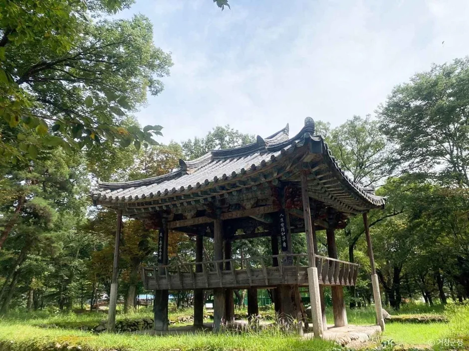 경남_거창_갈계숲_내부_5.JPG