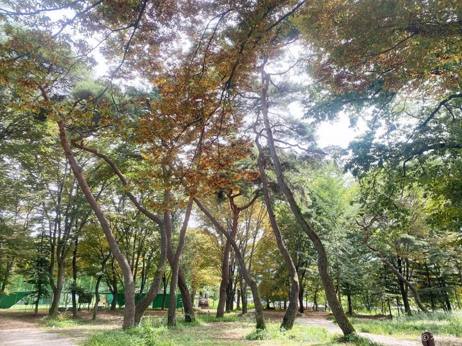 경남_거창_갈계숲_외부_5.JPG