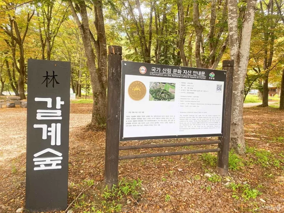 경남_거창_갈계숲_외부_13.JPG