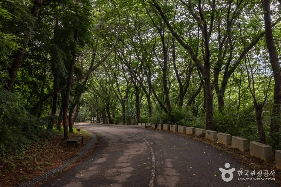 인천_대학공원 (4)
