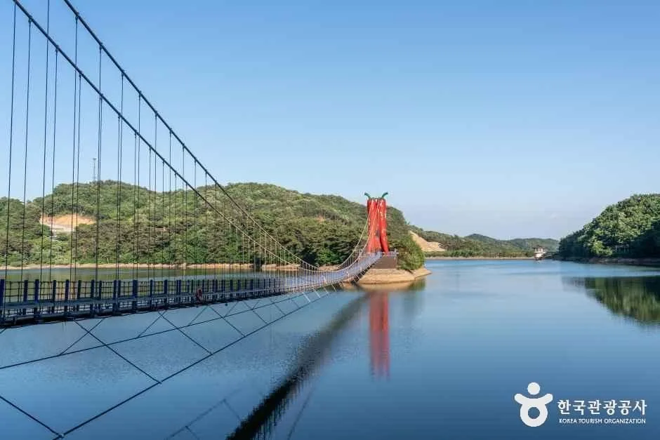 청양_천장호 출렁다리 (8)