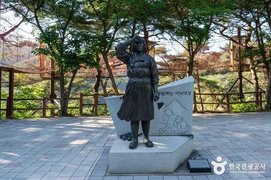 청양_천장호 출렁다리 (7)