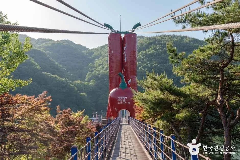 청양_천장호 출렁다리 (3)