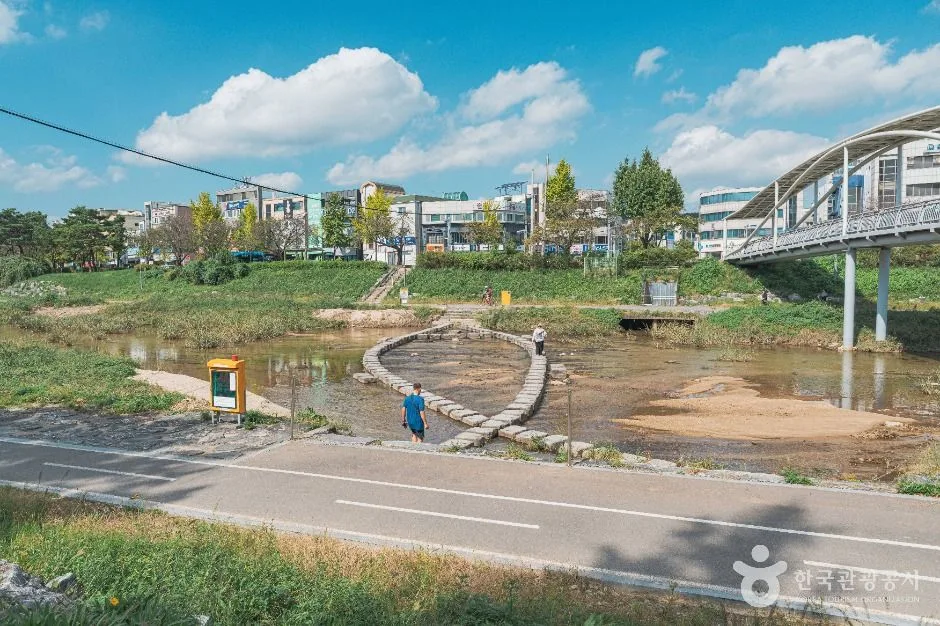 대전_갑천 (3)