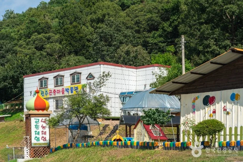 원주_원주곤충마을박물관 (4)