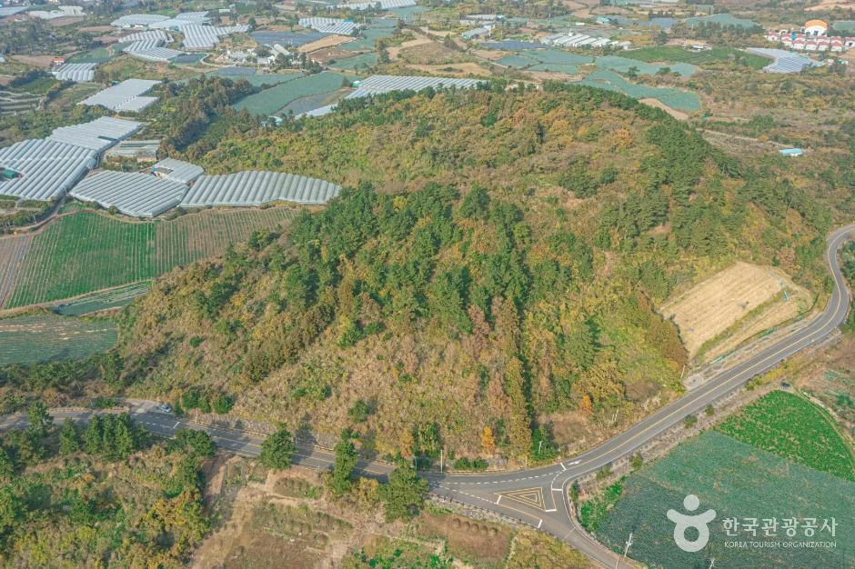 서귀포_갯거리오름 (5)