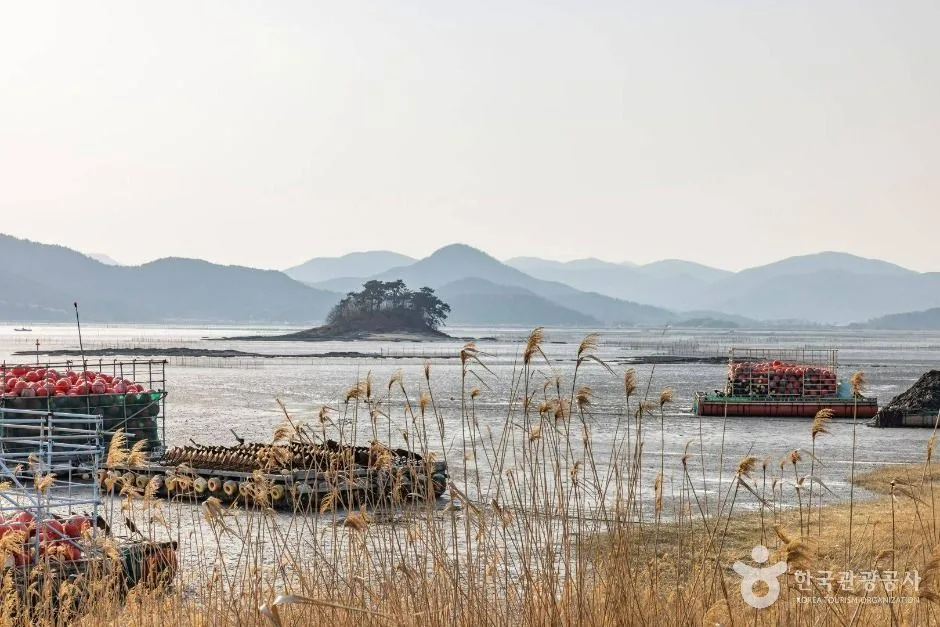 순천_와온해변 (3)
