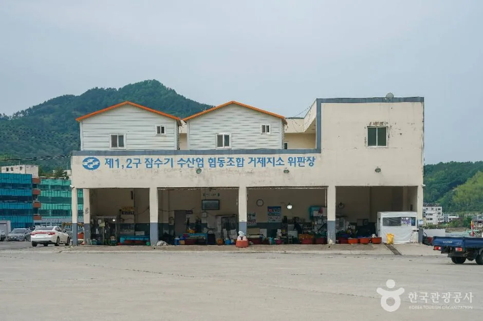 거제_장목항 (7)