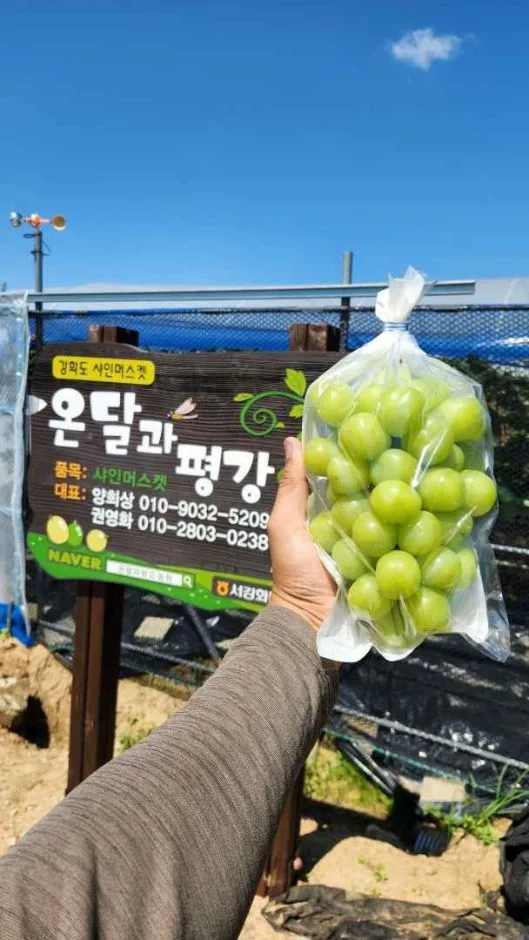 강화_온달과평강농원(7)