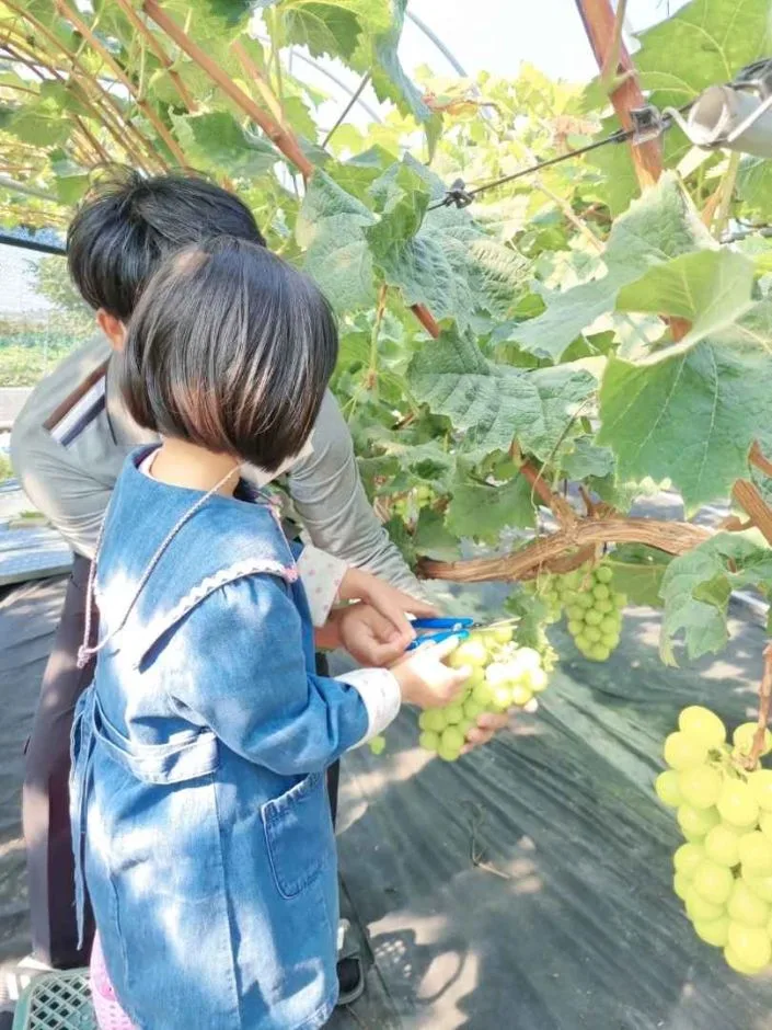 강화_온달과평강농원(6)