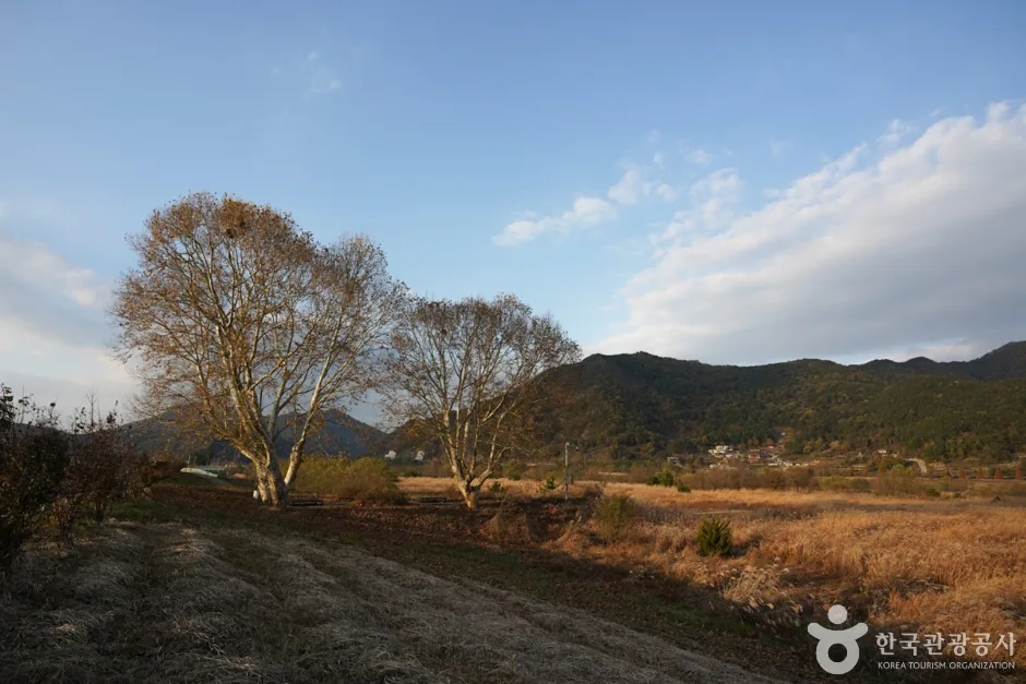 북면수변생태공원 (3)