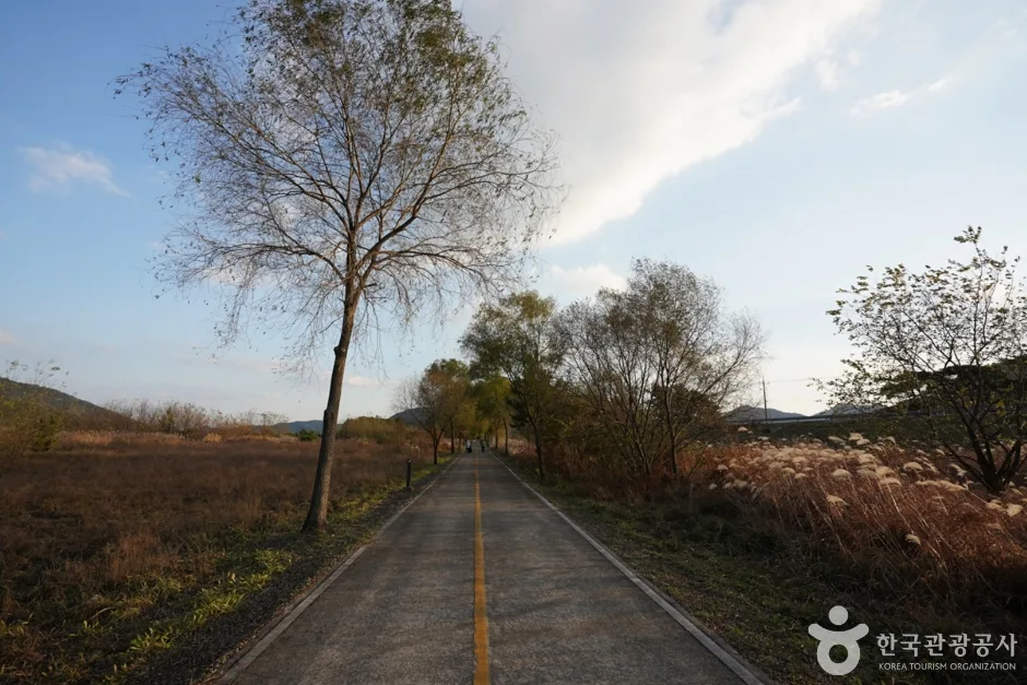 북면수변생태공원 (4)