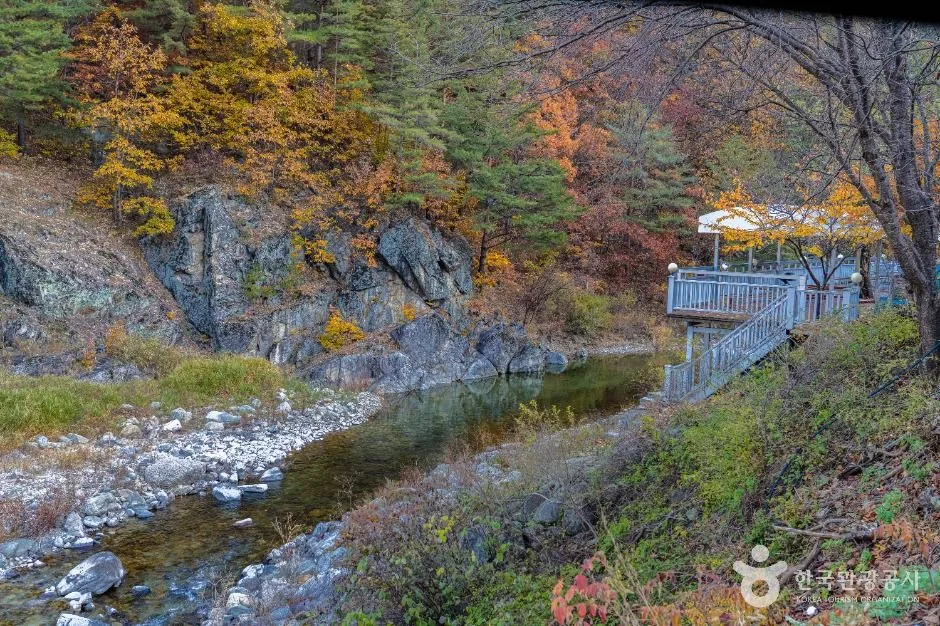 삼척_동활계곡 (2)