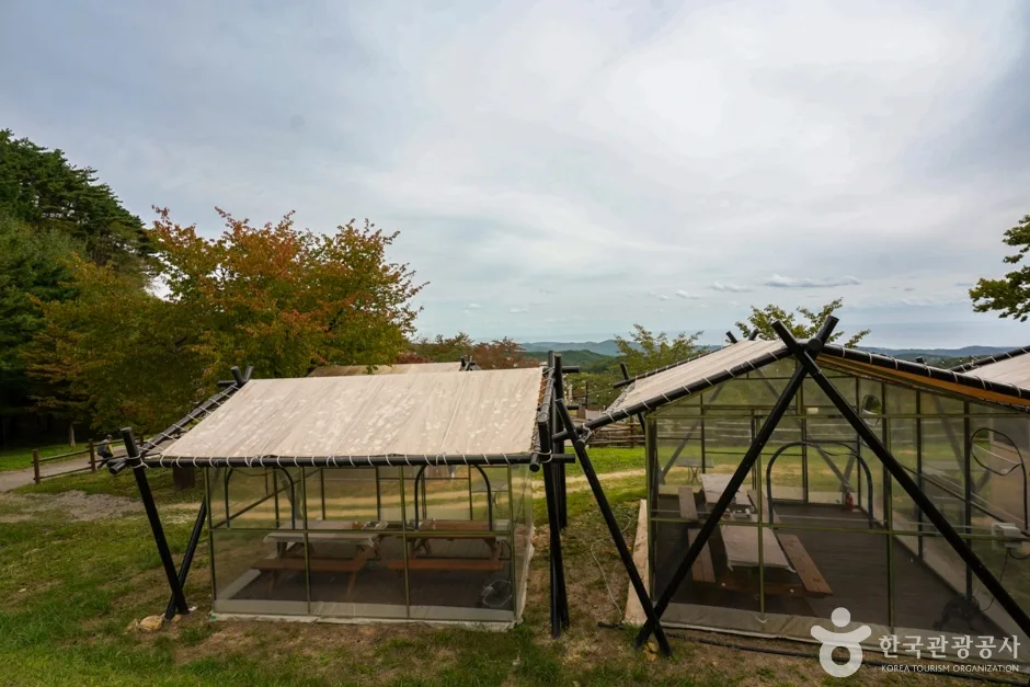 경북_경주_경주 마우나오션 관광단지 (5)