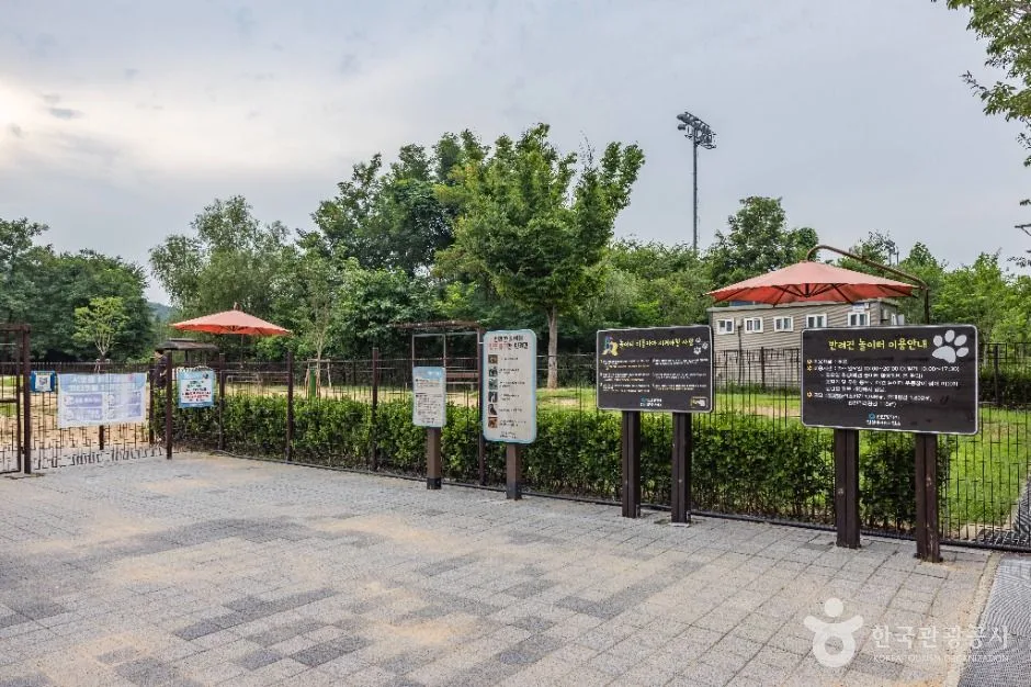 인천_인천대공원 반려동물 놀이터 (1)
