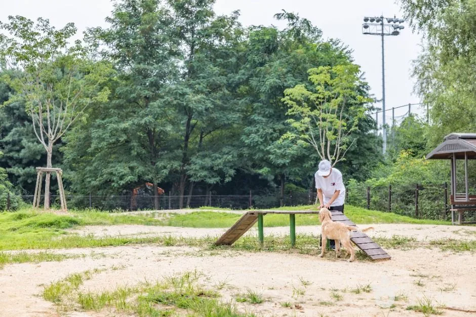 인천_인천대공원 반려동물 놀이터 (10)