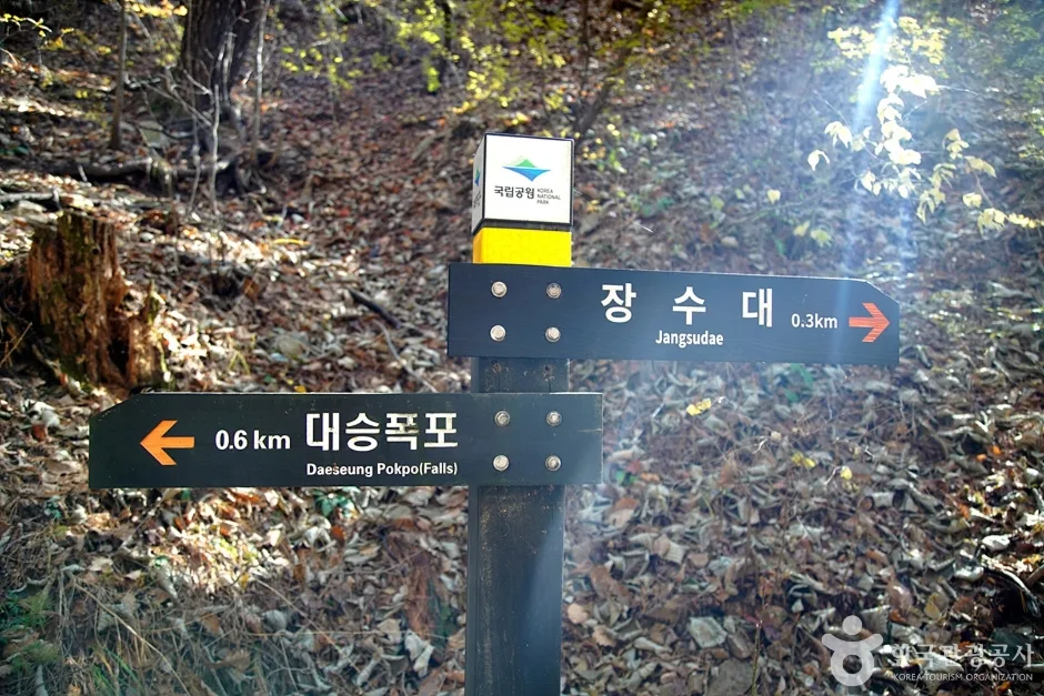 대승령과대승폭포 (21)