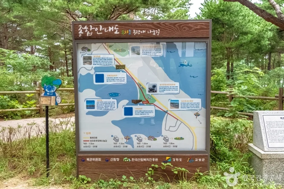 강원도_고성_송지호둘레길 (2)